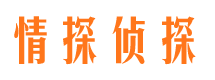 平原侦探